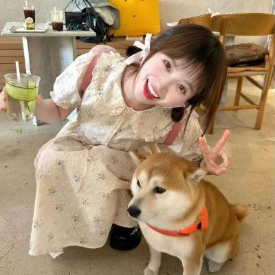 我的老爸是卧底